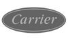 Carrier